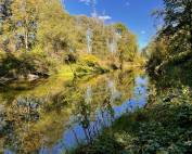 Foto des des Gebirgsbaches Prien bei Rimsting