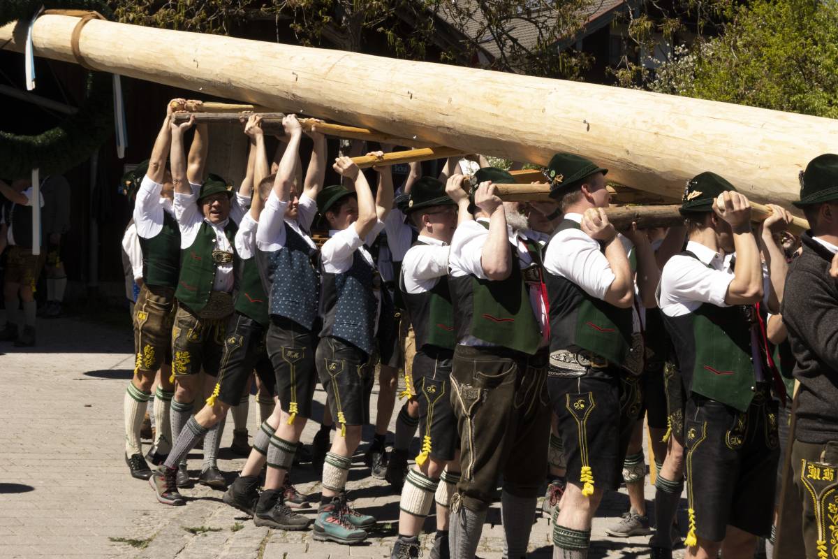 Trachter stemmen Maibaum_Sebatian Grießl